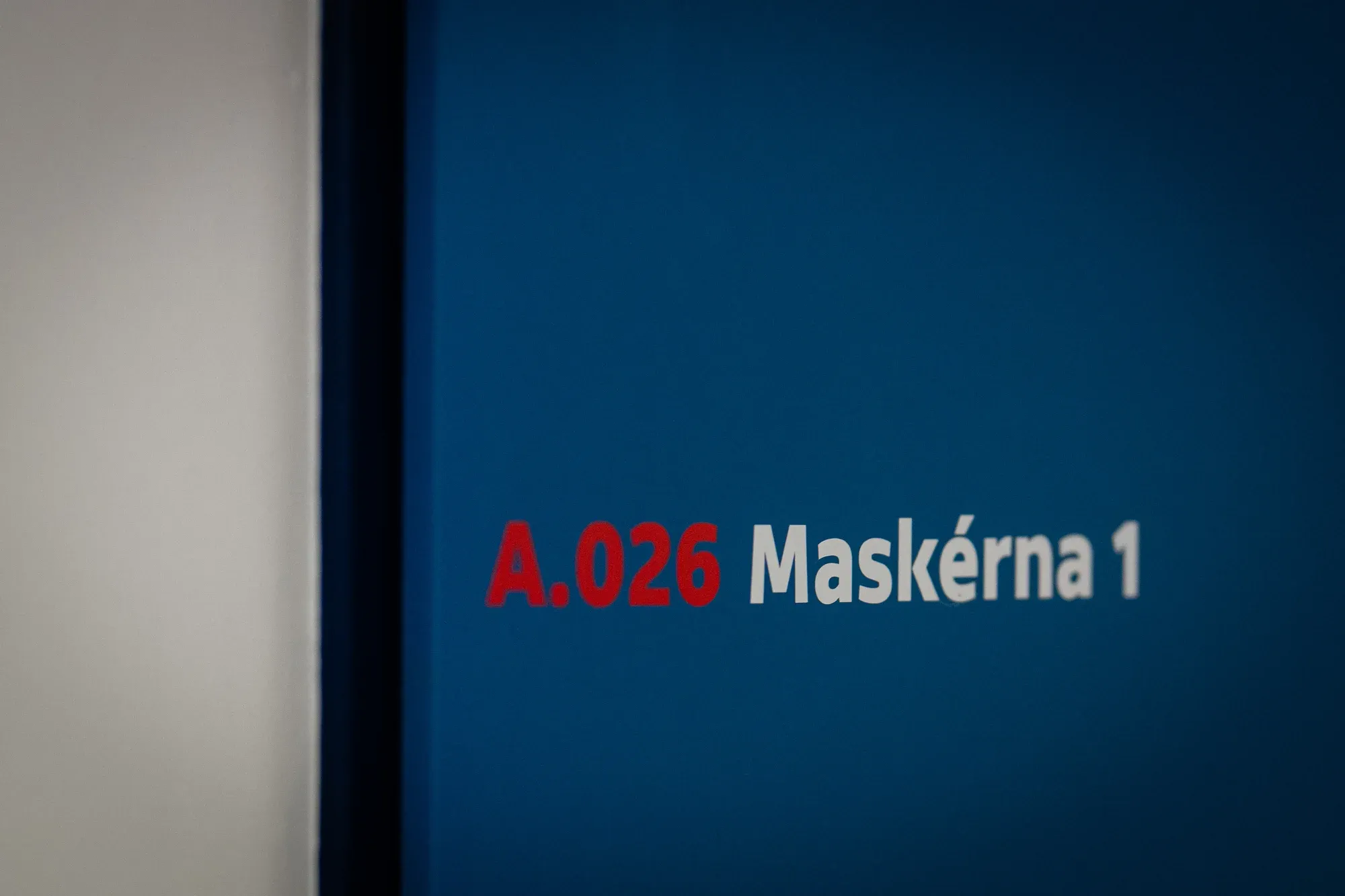 Česká Televize – foto 15