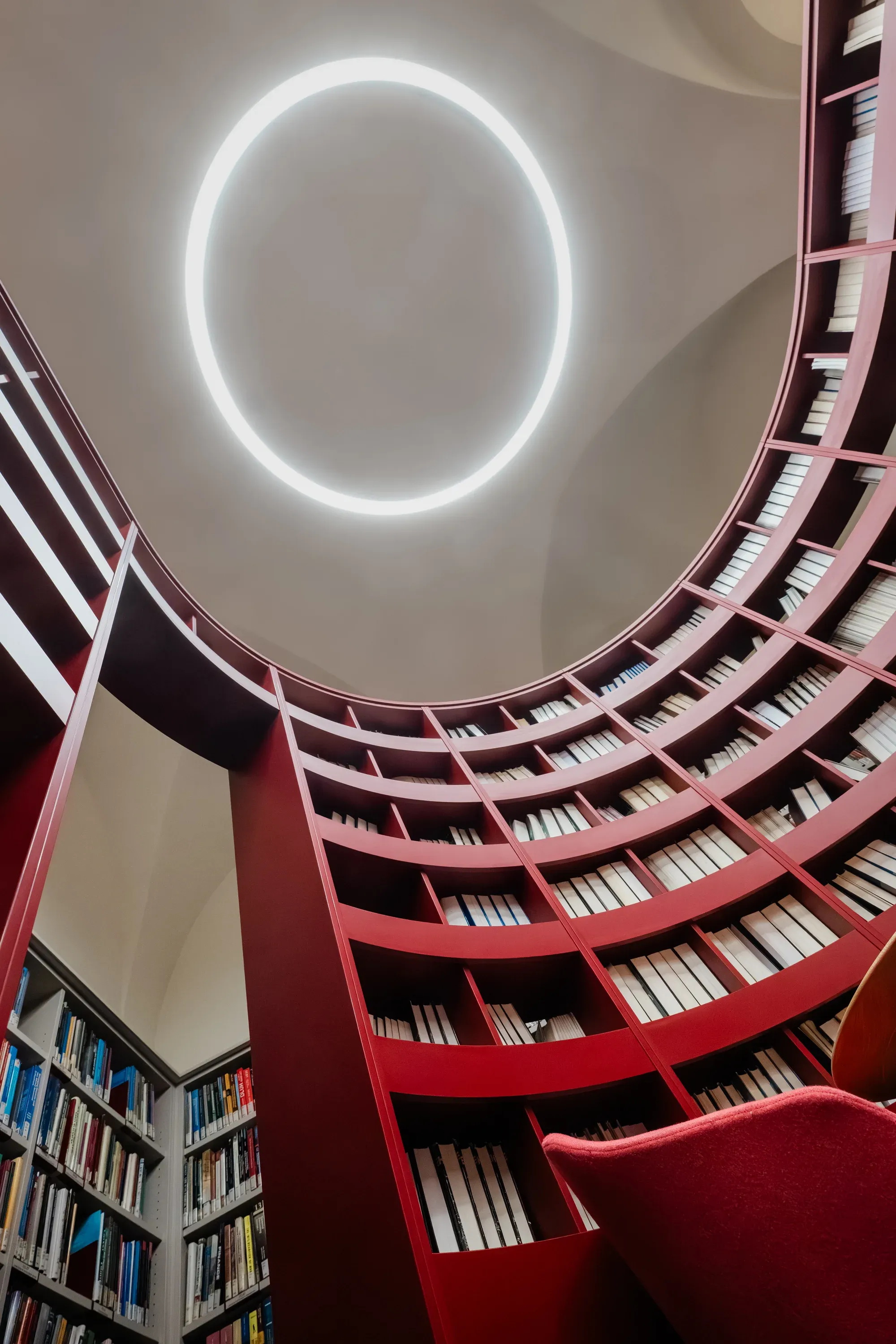 Karlova univerzita – foto 8