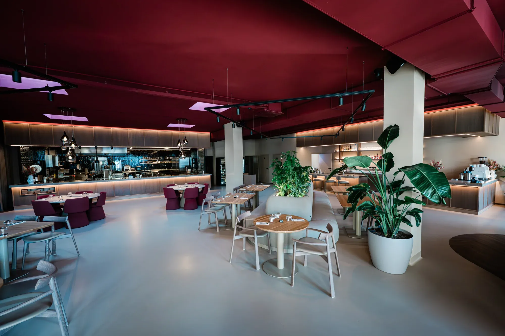 Soyshi - Asijská restaurace – foto 2