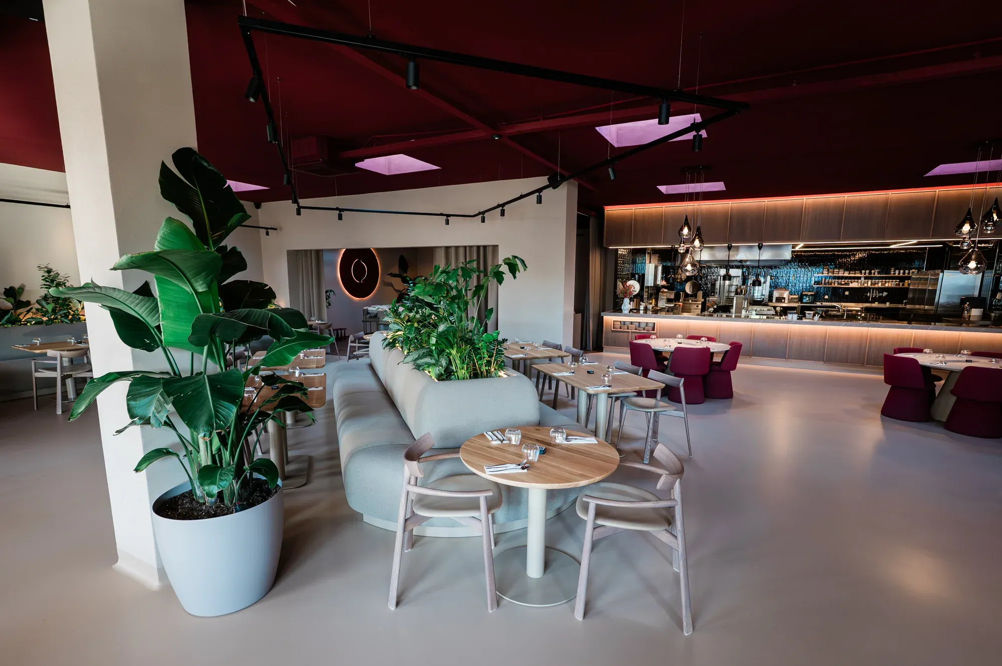 Soyshi - Asijská restaurace – foto 3